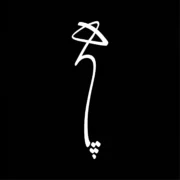 تیشرت مشکی پنبه ای با طرح سفید کالیگرافی عمودی کلمه هیچ